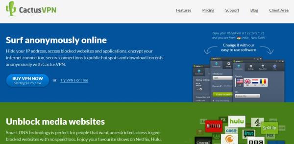 CactusVPN for Hulu outside US
