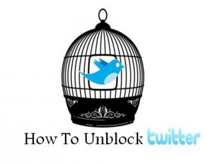 Using VPN to unblock Twitter