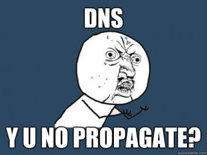 dns issues