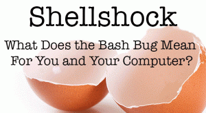 shellshock1