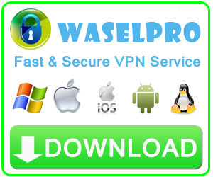 waselpro openvpn encryption