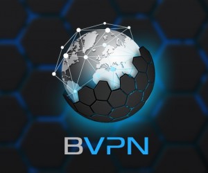 B.VPN